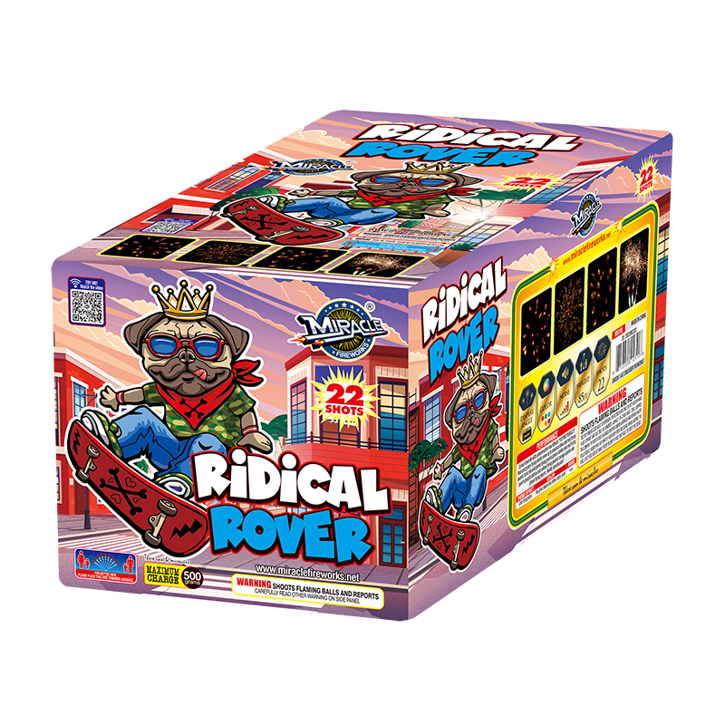 RADICAL ROVER